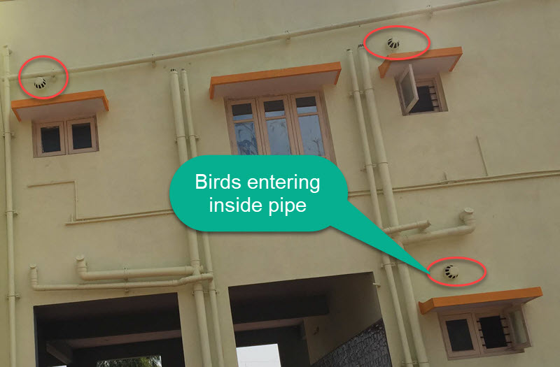 Prevent Birds from Entering Through Pipes